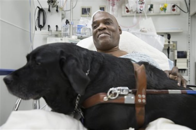 Cecil Williams smiles as he pets his guide dog Orlando in his hospital bed following a fall onto subway tracks from the platform at 145th Street, Tues...