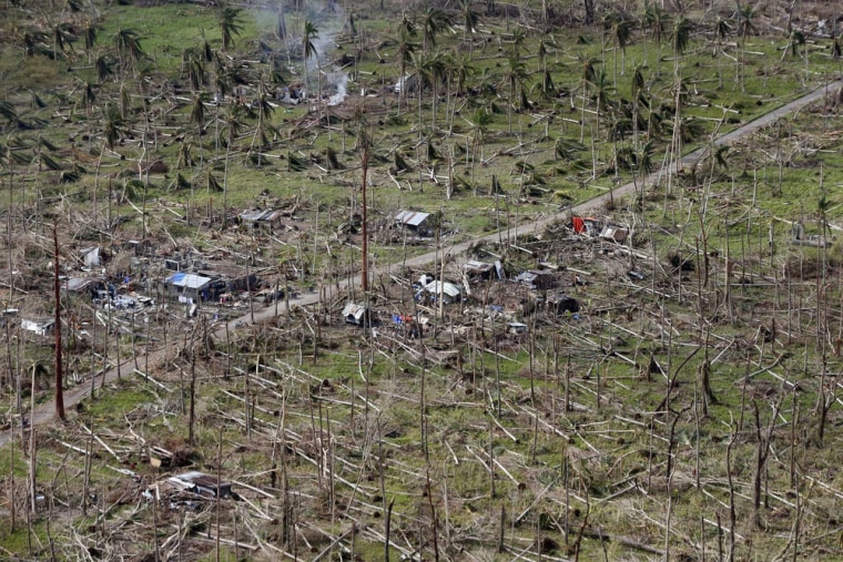 An aerial view shows a coconut plantation and houses destroyed by Typhoon Haiyan in Tolosa, Leyte, in central Philippines in this Nov. 19 file photo. The destruction will squeeze supplies, while demand for coconut products rises.