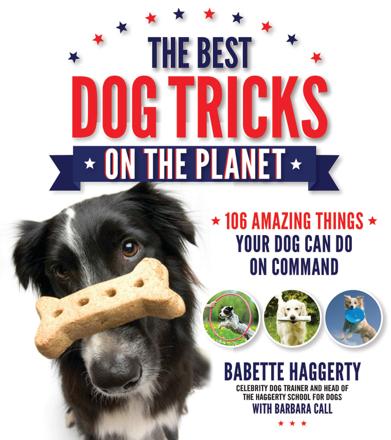 'The Best Dog Tricks on the Planet'