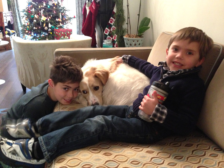 Natalie Morales' sons Josh (left) and Luke, with loyal dog Zara, are counting down the days till Christmas.