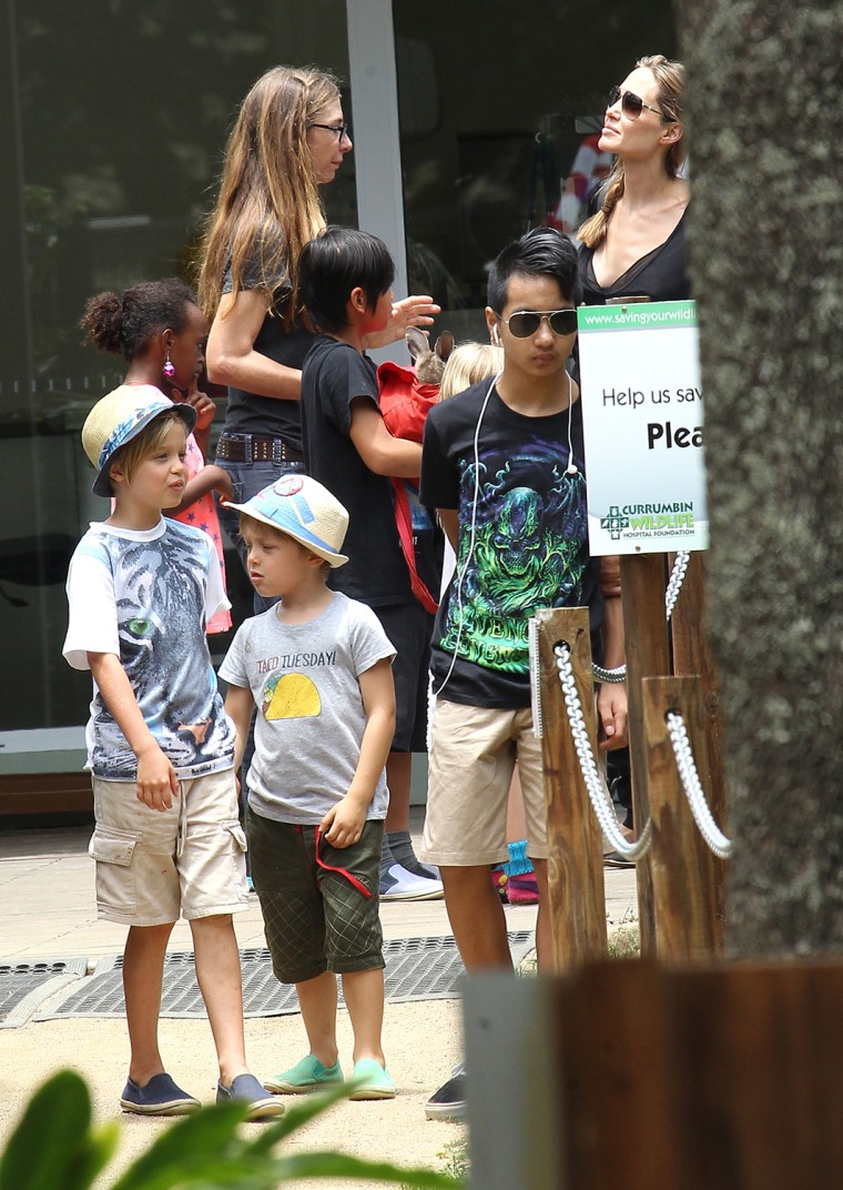 Image: Angelina Jolie and kids