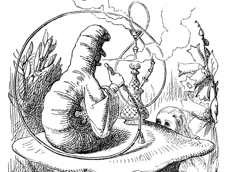Image: Alice and caterpillar
