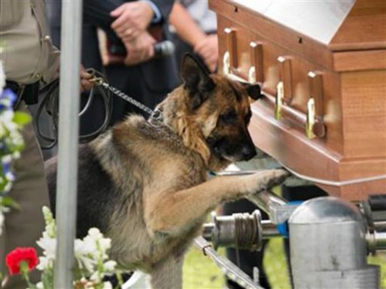 Kentucky police officer Jason Ellis was killed in a suspected ambush over the weekend.

At his funeral, his K-9 partner, Figo, honored him, laying a paw on his coffin.