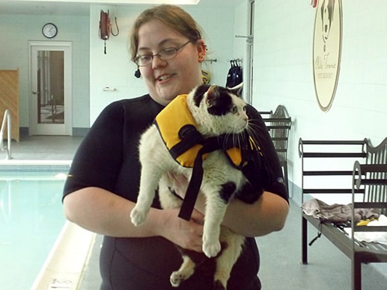 Holly is held by her owner, Dani Lawhorne, who works at the Olde Towne Pet Resort and thought her cat would take to the water because she doesn't fuss too much during baths.