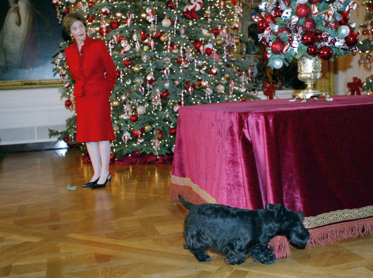 First dog Barney walks past Laura Bush while she unveils Christmas decorations to the media on Dec. 4, 2003 in Washington, DC.