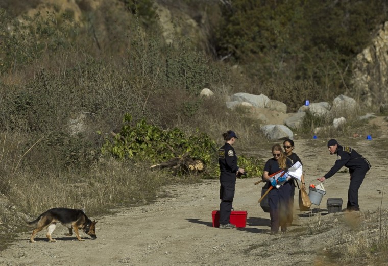 In this photo from Jan. 9, Los Angeles County Coroner officials walk with an official cadaver dog, as they investigate a shallow grave off Big Tujunga Canyon Road, on the edge of the Angeles National Forest. About 10 days later, authorities found human remains near that site.