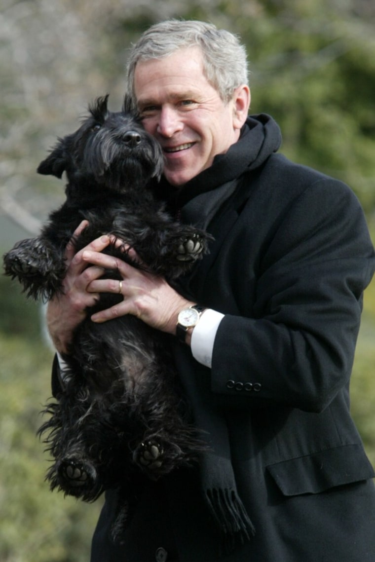 Bush white deals house dog