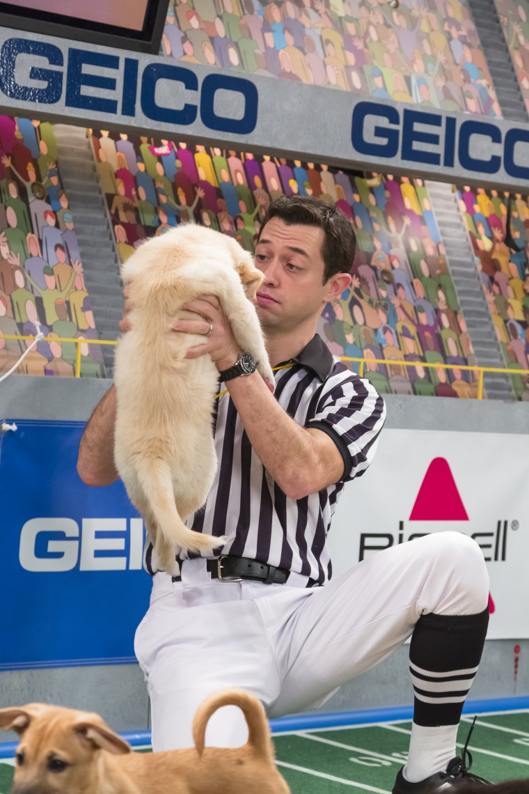 The referee makes a call on the field during Puppy Bowl IX.