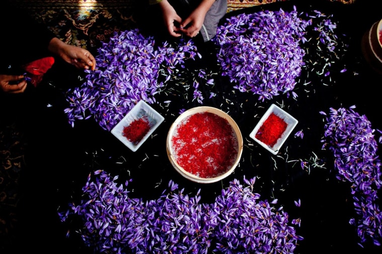 A woman holds a stigma of Crocus To separate Sativus, the saffron crocus, during the saffron harvest near the village of Goriyan in Herat in western Afghanistan.