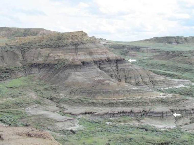 Near Jordan, Mont., rock layers expose the level (lower arrow) where dinosaurs and many other animals and plants went extinct. The arrows point to coal beds that contain thin volcanic ash layers that were dated.