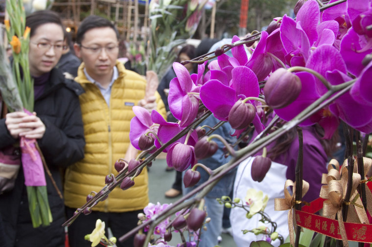 Hong Kong Flower Market orchid