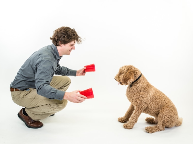 Duke neuroscientist Brian Hare tests a dog's cognition using a simple set of toys.
