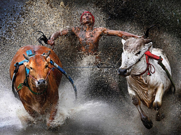 View the award winning images selected by World Press Photo.