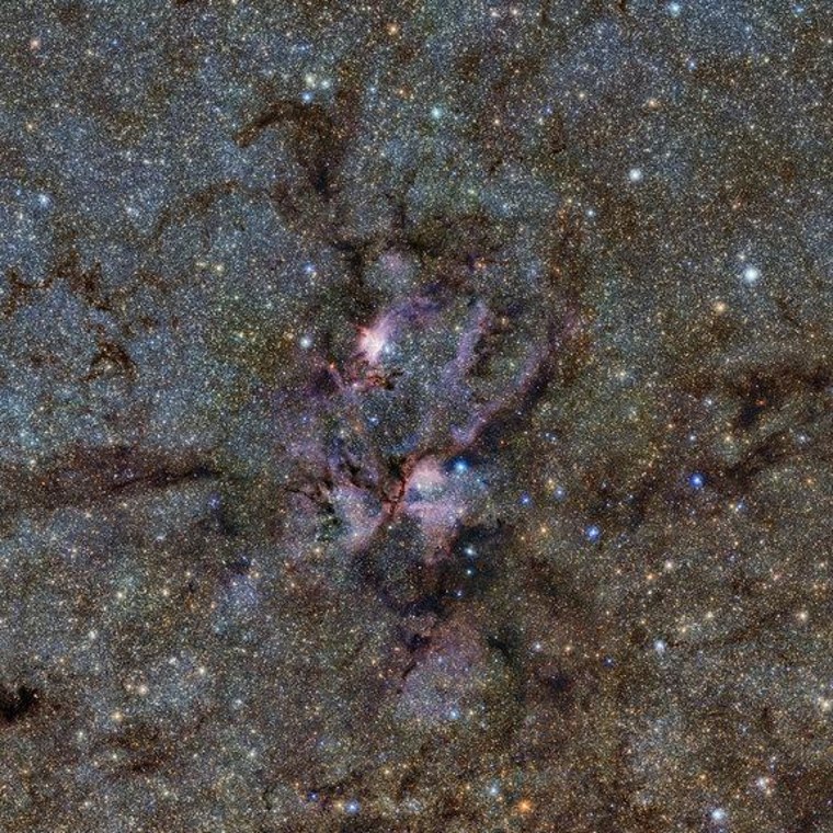 A star-forming region of the Milky Way looks oddly like a "cosmic lobster" in this photo.