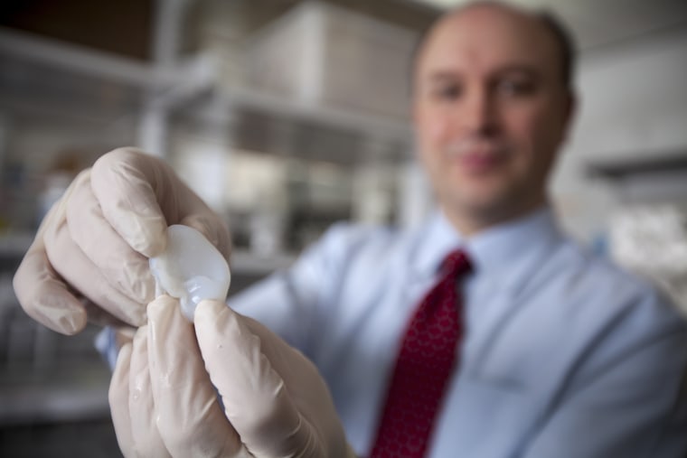 This handout photo provided by Cornell University, taken Feb. 13, 2013, shows Cornell University biomedical engineer Lawrence Bonassar holding the scaffolding for an ear his laboratory is creating using a 3-D printer and cartilage-producing cells.