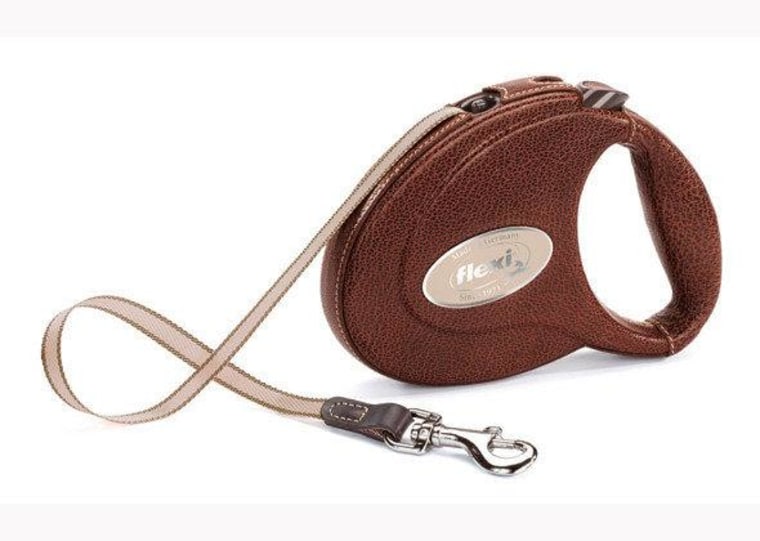 Flexi Leash