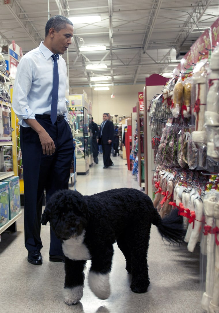 U.S. President Barack Obama shops for Christmas presents with his dog Bo at Petsmart on Dec. 21, 2011 in Alexandria, Virginia.