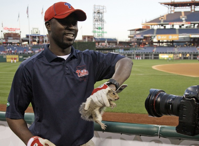 Groundskeeper - St. Louis Cardinals