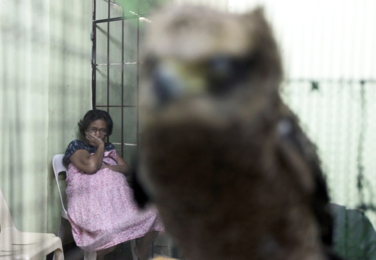 Accused trader Luz Estacio sits inside a jail as she looks at a serpent eagle, one of the seized animals, at a police station in Manila on August 18.