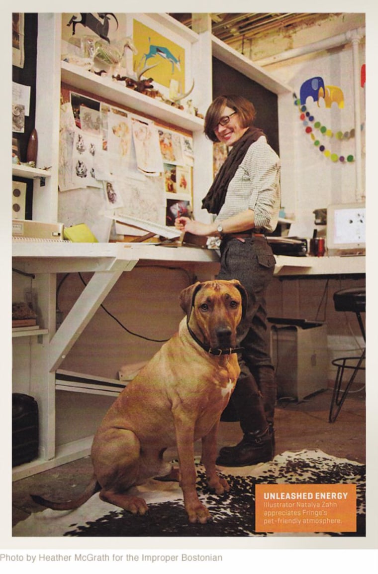 Oscar, a Rhodesian Ridgeback, accompanies illustrator Natalya Zahn to her studio nearly every day. (Photo credit: Heather McGrath for the Improper Bostonian)