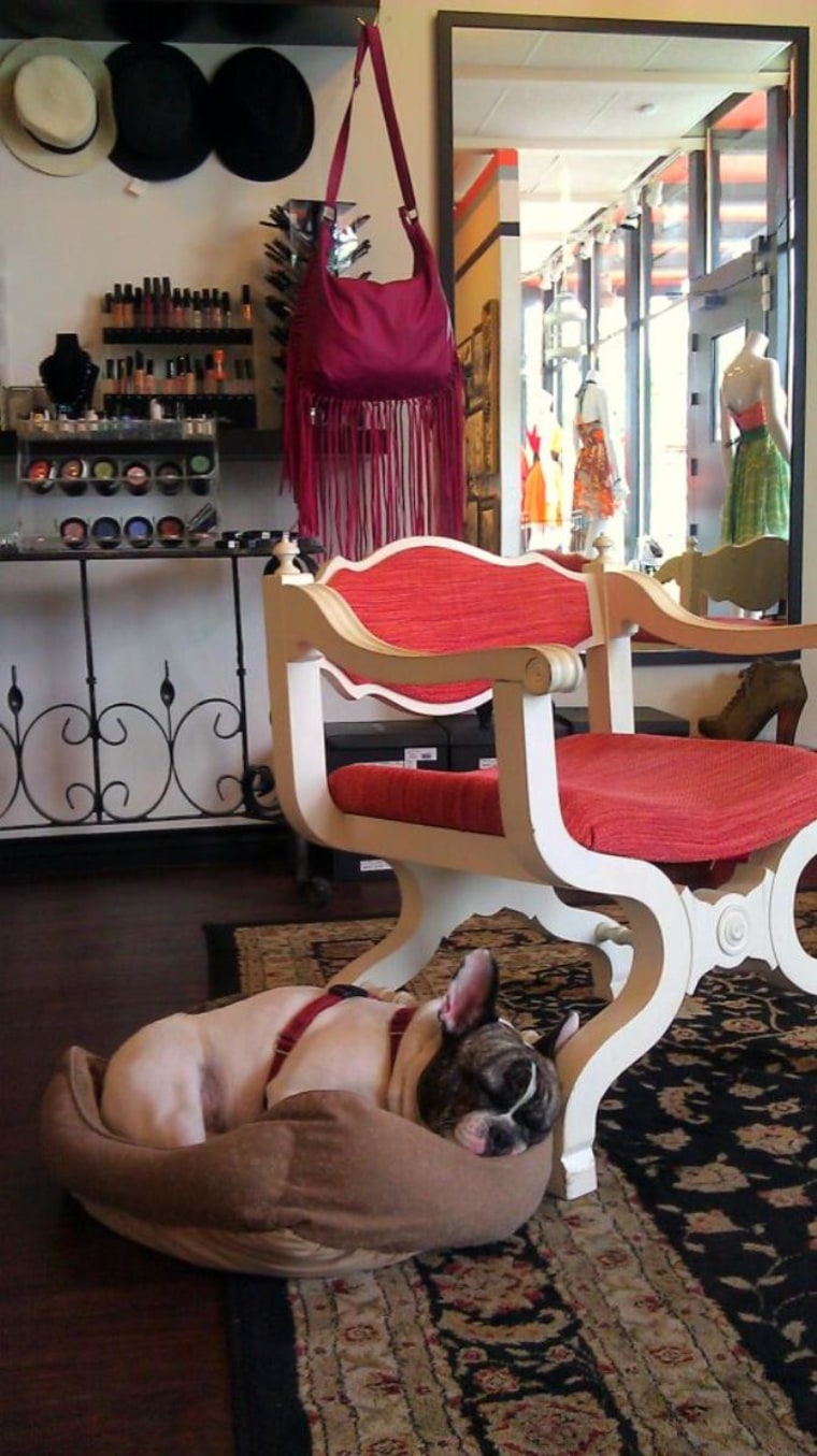 Venus at Sola Boutique in Austin.