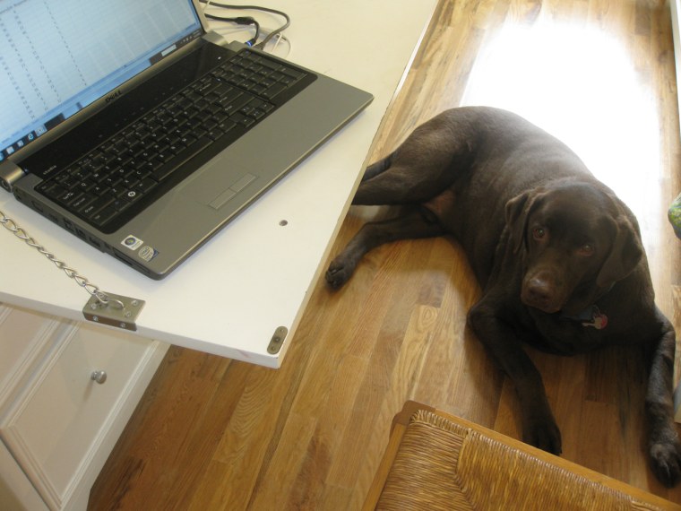 Reg relaxes in Jack's home office. Jack tries to