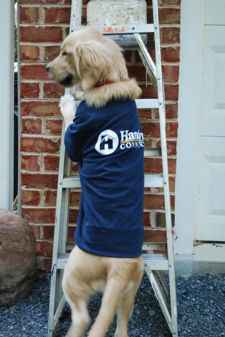 Tucker cleaning out the gutters.