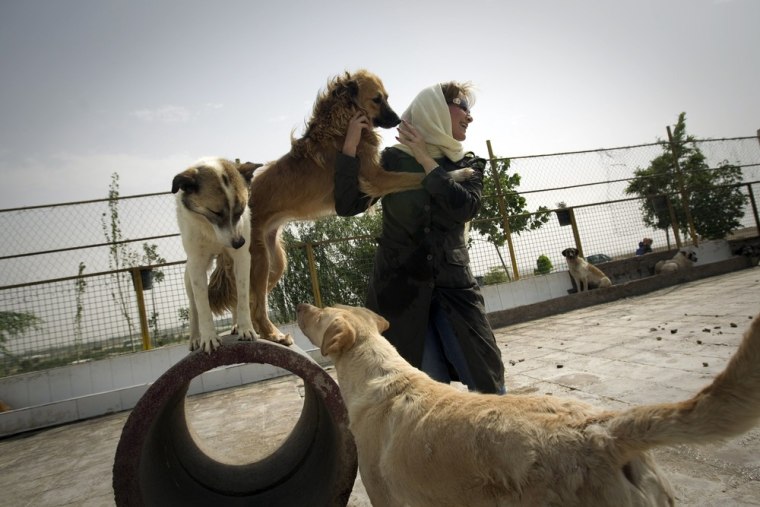 Dog-lover Neda plays with strays at the Vafa animal shelter in the town of Hashtgerd, west of the Tehran on June 30. The first animal shelter in Iran, the non-government charity relies on private donations and volunteers to provide shelter to injured and homeless dogs in Iran.