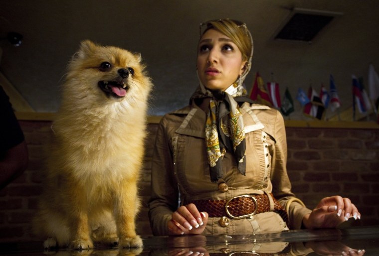 Tehran resident Farnaz talks to a vet about her Pomeranian dog, Maggie, at Tehran Pet Hospital, the first private hospital for pets in Iran, on June 23. Showing off pet canines has become increasingly popular in Tehran's posh neighborhoods, a trend threated by lawmakers in the conservative-dominated Iranian parliament.