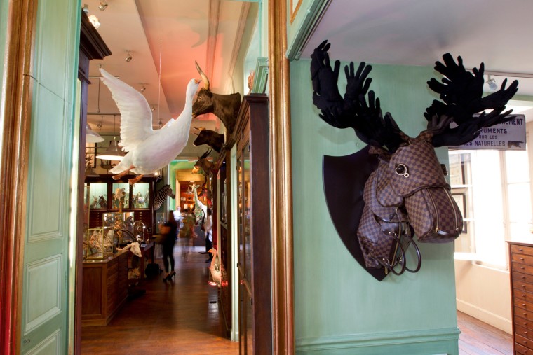Deyrolle, the famous taxidermy store in Paris, refashioned Louis Vuitton handbags into animals -- including a moose.