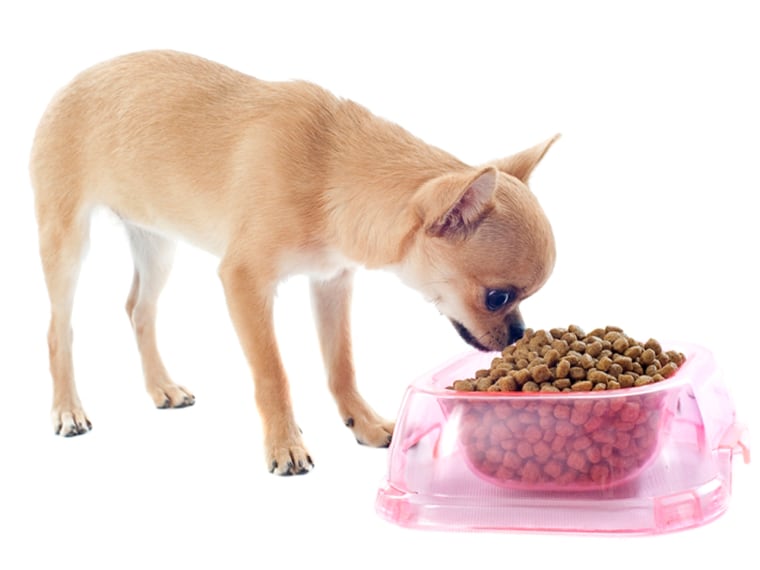 The donation-based non-profit Pet Food Stamps program aims to provide families on financial assistance with a way to feed their pets.