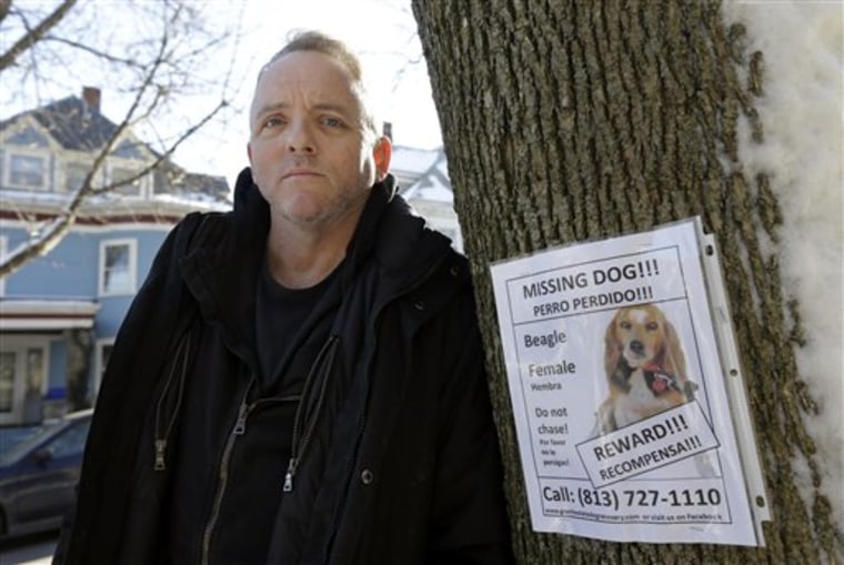 Author Dennis Lehane stands next to a poster for his missing dog in Brookline, Mass., on Thursday, Jan. 3, 2013. The dog, a beagle named Tessa, went missing on Christmas Eve 2012.