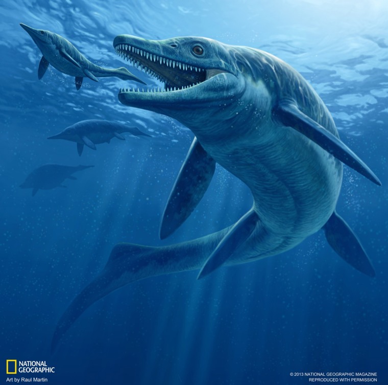 An artist's conception shows the ichthyosaur known as Thalattoarchon saurophagis.