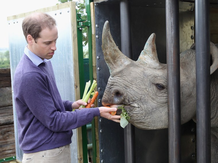 Prince William fed a 5-year-old black rhino named Zawadi during his June, 2012, visit to Lewa.