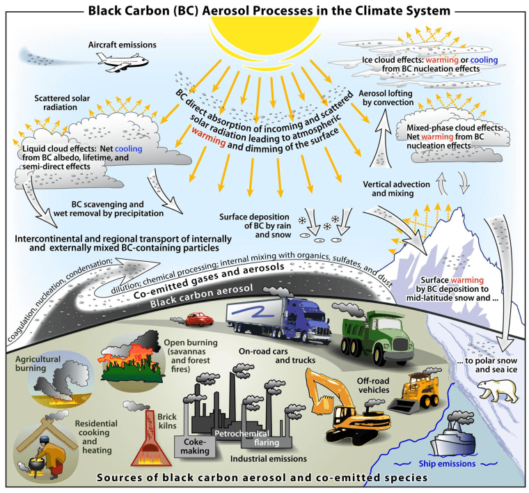 Schematic overview of the primary black carbon emission sources and the processes that control the distribution of black carbon in the atmosphere and determine its role in the climate system.