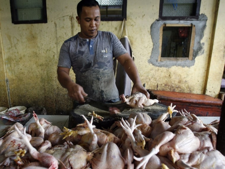 A strain of H5N1 virus is believed to have caused the deaths among poultry in Jakarta last fall. Here, traders sell chickens in the Keutapang market, Aceh, Sumatra, Indonesia, on Dec. 12, 2012. Researchers announced Wednesday they will resume controversial research on how H5N1 can transmit through the air.