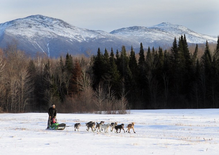 Ben Morehouse guides a team of sled dogs, including Gonzo and Poncho, through a field below the Presidential Range in the White Mountains in Jefferson, N.H.