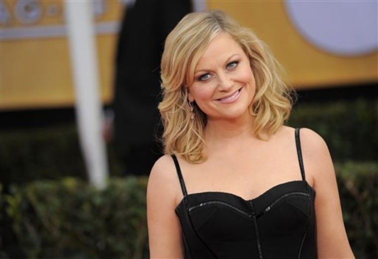 Amy Poehler arrives at the 19th Annual Screen Actors Guild Awards at the Shrine Auditorium in Los Angeles on Sunday Jan. 27, 2013.