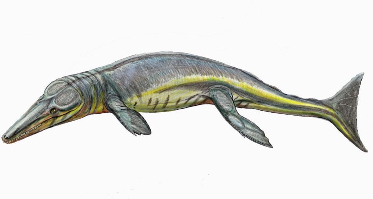 The ancient newfound crocodilian Tyrannoneustes lythrodectikos (shown here in an artist's rendering) would have devoured giant prey some 165 million years ago.