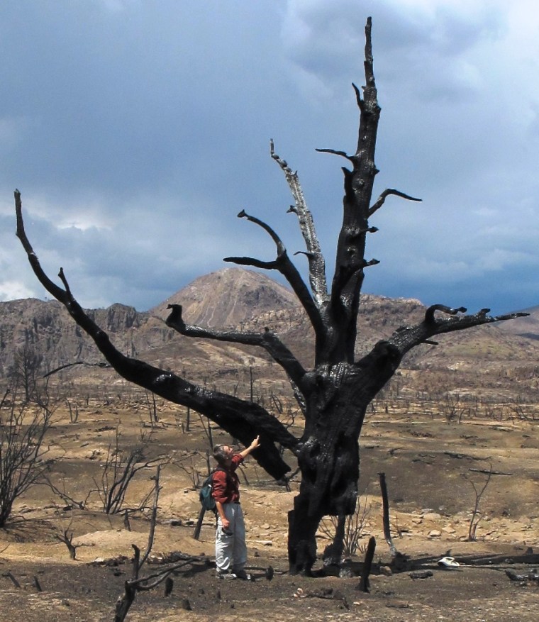 Image: Las Conchas Fire