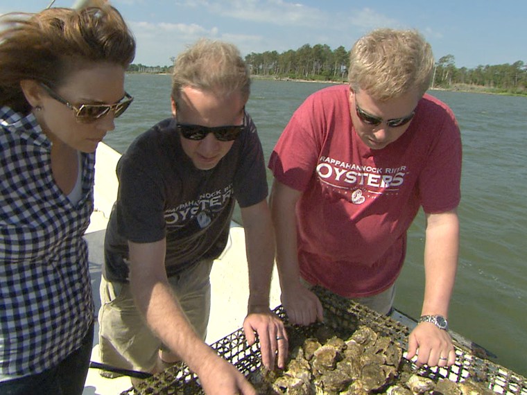 The Croxton cousins inspect some of their haul.