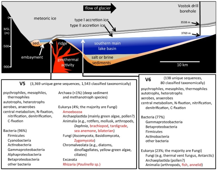 Image: Lake schematic