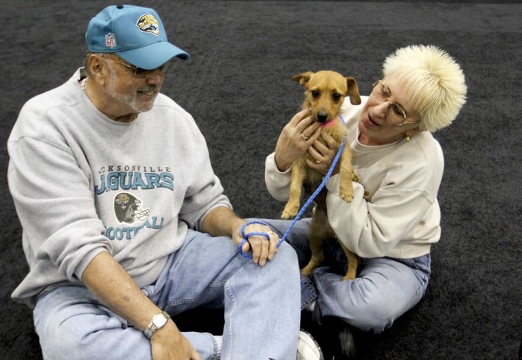 This Dec. 11, 2012 photo provided by MGM Resorts International shows MGM Grand poker dealer Dar Reike holds her adopted dog, Alexia, next to her husba...