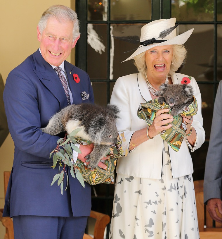ADELAIDE, AUSTRALIA - NOVEMBER 07:  Prince Charles, Prince of Wales holds a koala called Kao whilst Camilla, Duchess of Cornwall holds a koala called ...