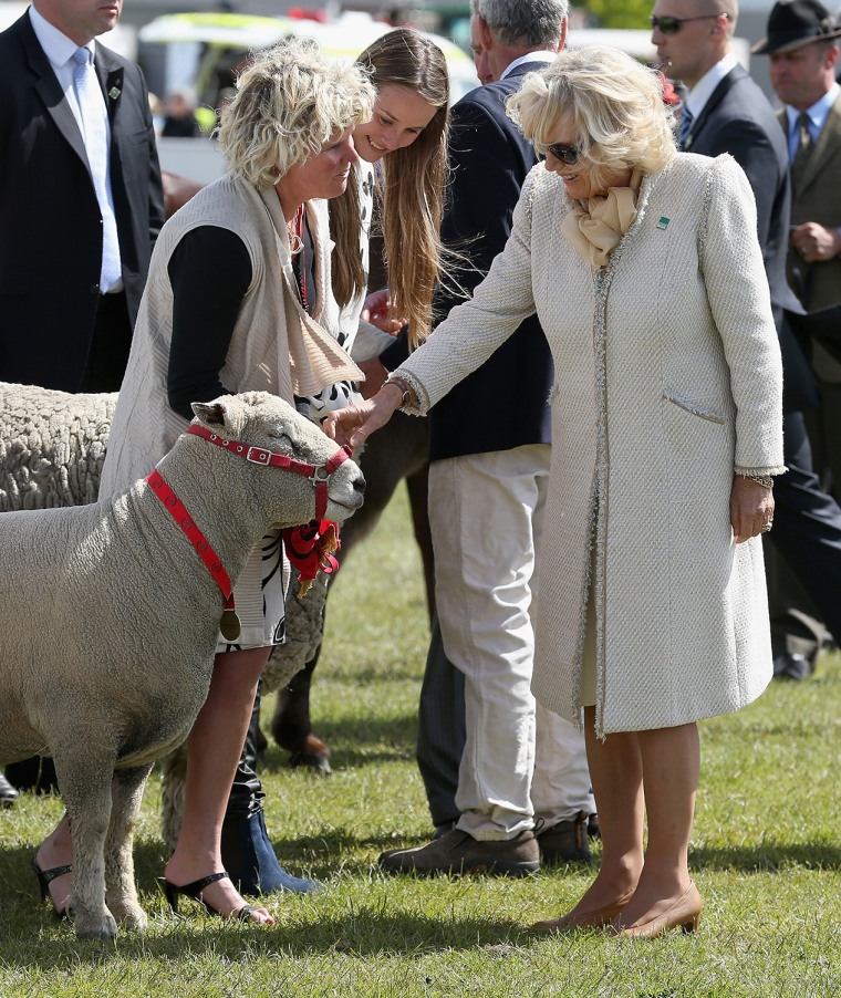 Image: Camilla greets a sheep during a visit to Christchurch, New Zealand on Nov. 16, 2012.