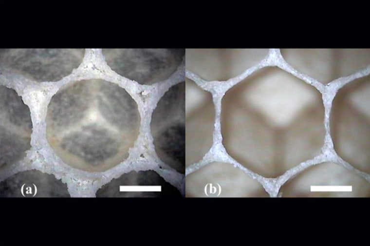 Honeycomb cells start off as circles within the first few seconds of formation (a) and then eventually morph into hexagons (b).