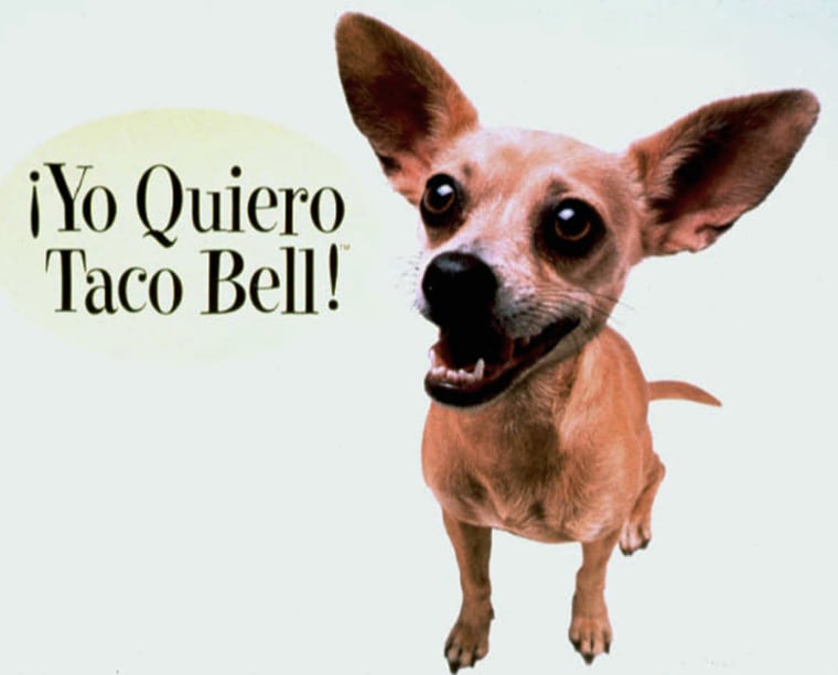 FILE - This undated picture provided by Taco Bell shows part of a Taco Bell advertisement featuring a Chihuahua professing his love for tacos. Handler...