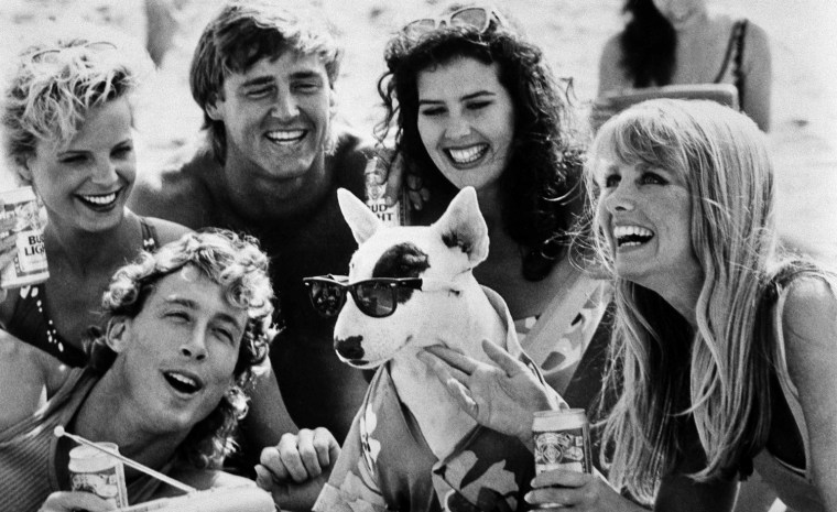 This is a 1987 photo of Spuds MacKenzie, center, in a Bud Light television commercial. (AP Photo)