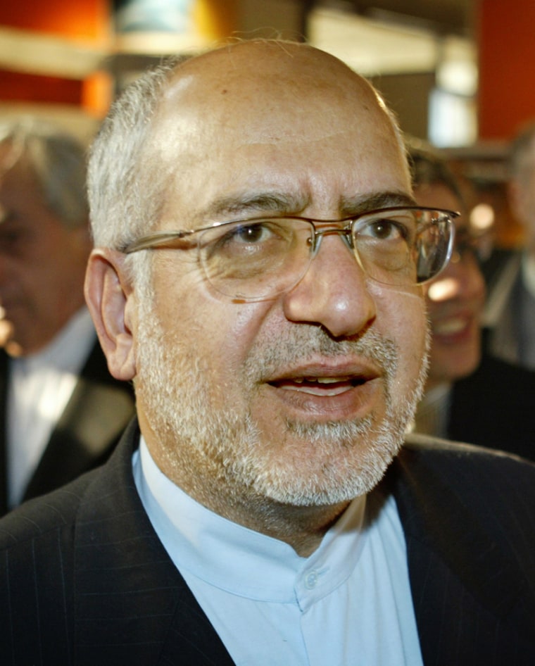 Mohammad Reza Nematzadeh in 2005, when he was Iran's deputy oil minister.