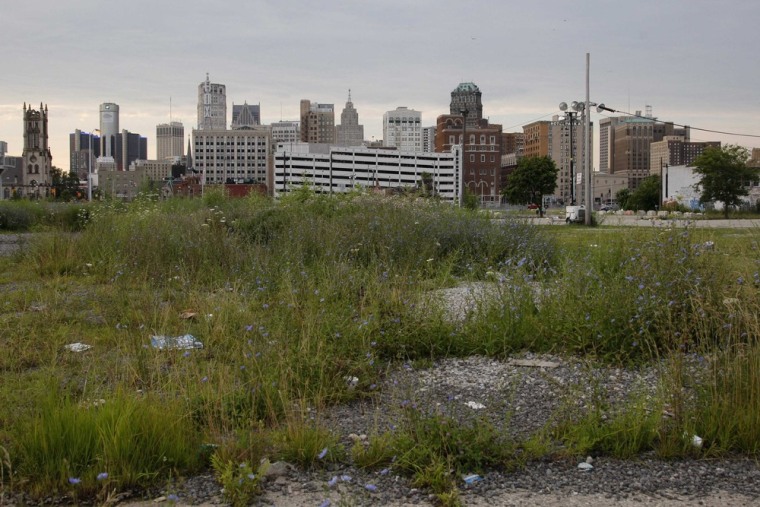 Downtown Detroit is seen from a vacant lot, looking south along Woodward Avenue, Michigan July 21, 2013.